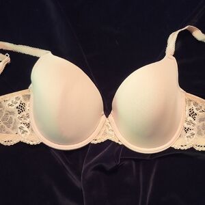 Elegant Lace Trimmed Bra in Cream
